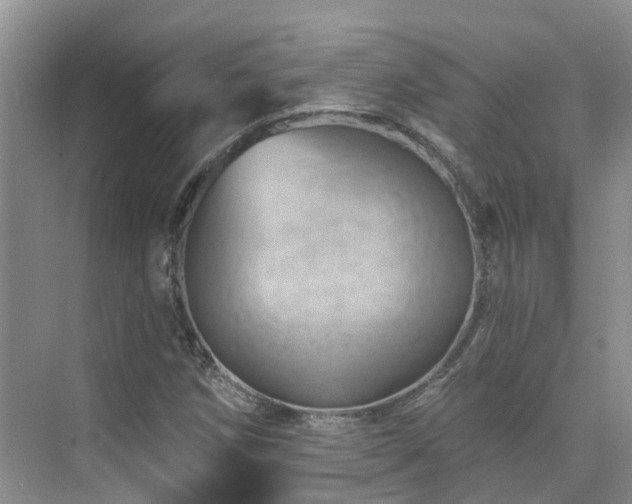 X0000075831258200609151229