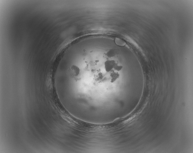 X0000075831259200609151229