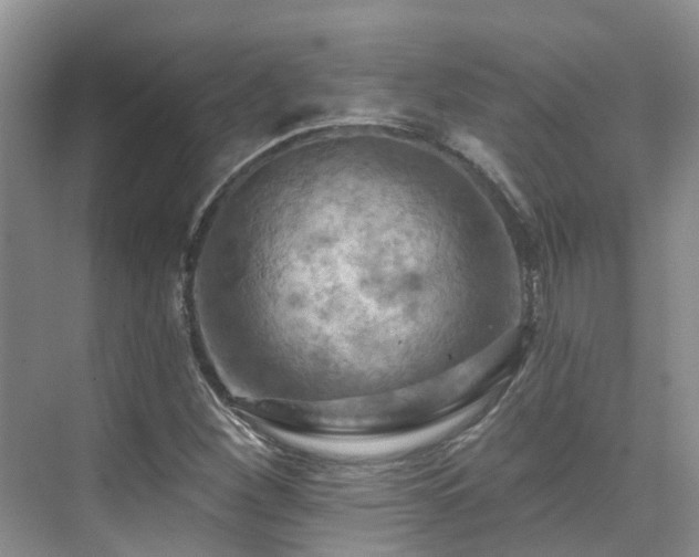 X0000075831260200609151229