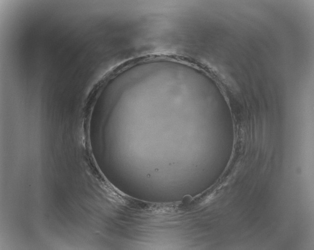 X0000075831262200609151229