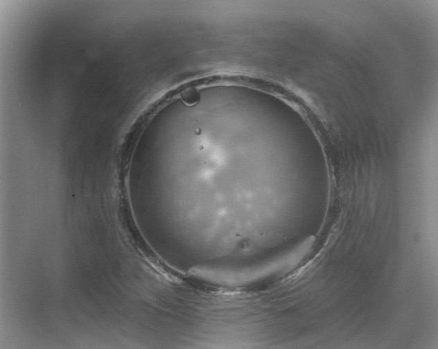 X0000075831263200609151229