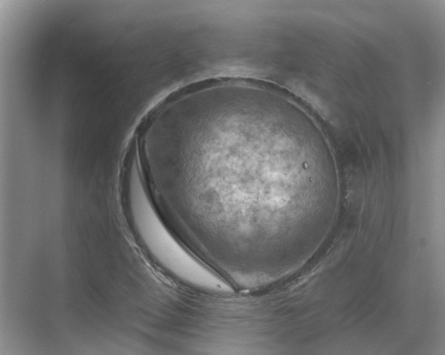 X0000075831264200609151229