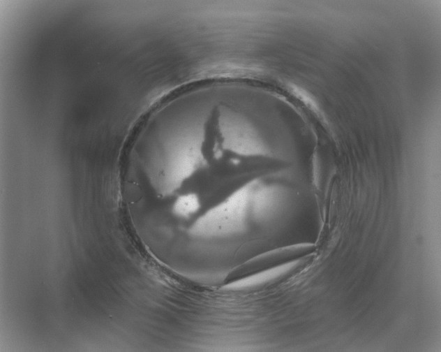 X0000075831267200609151229