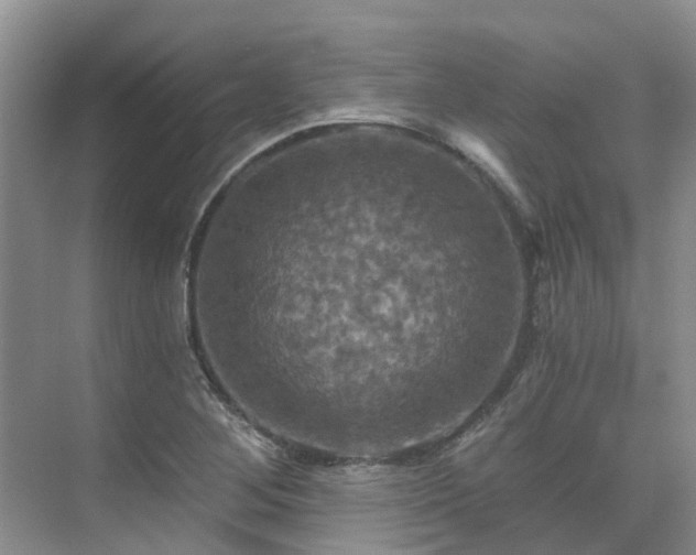 X0000075831268200609151229