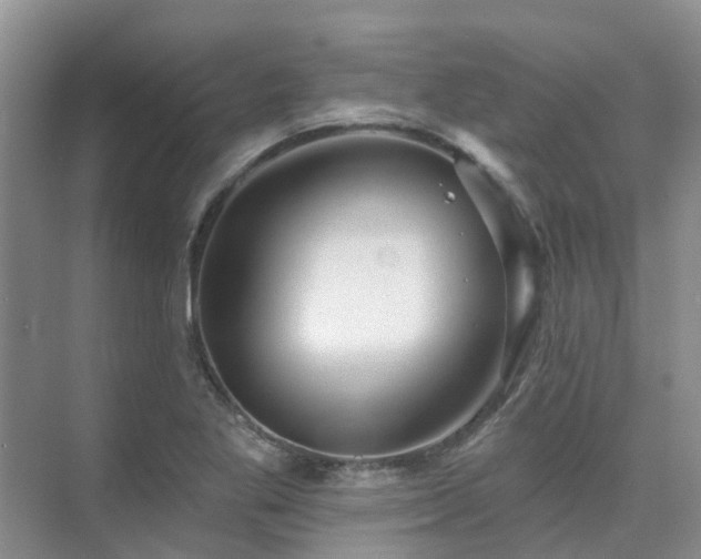 X0000075831269200609151229