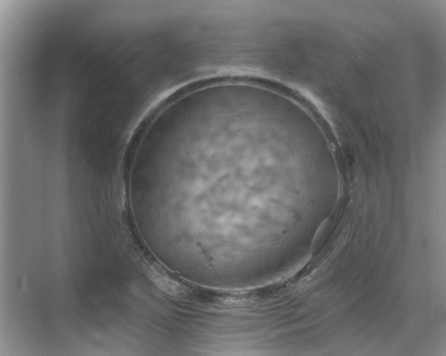 X0000075831271200609151229