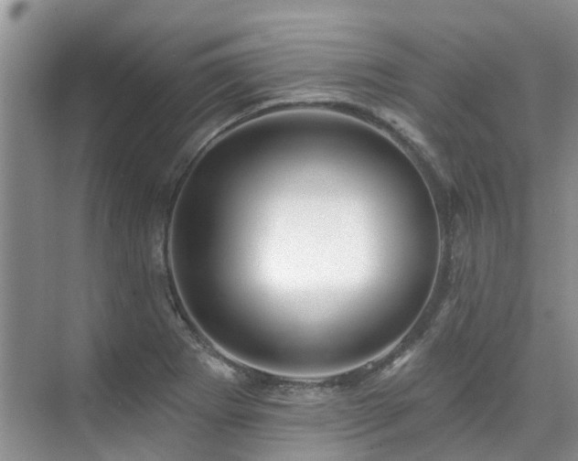 X0000075831273200609151229