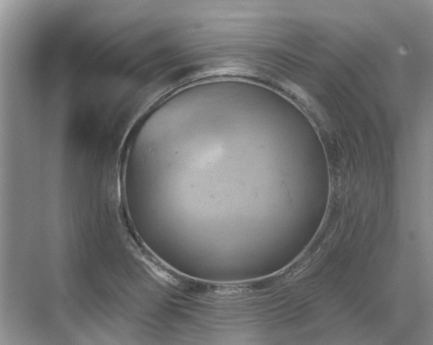 X0000075831274200609151229