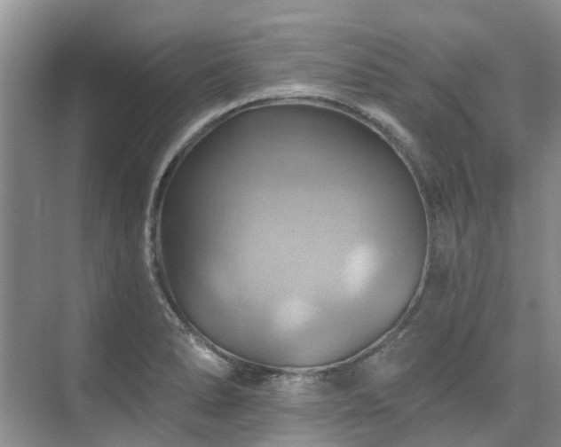 X0000075831278200609151229