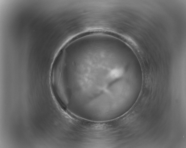 X0000075831279200609151229