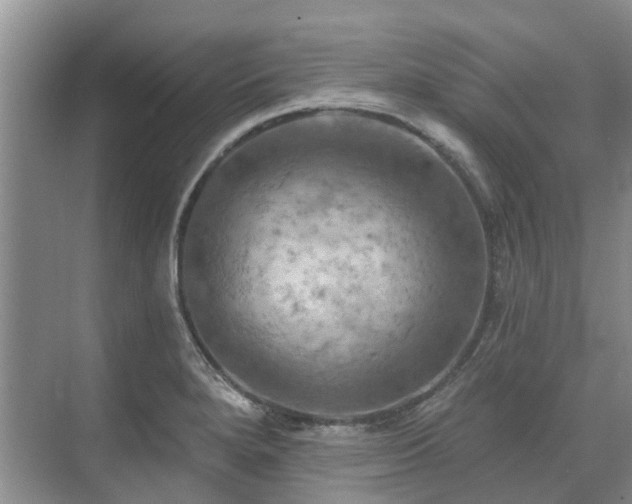 X0000075831280200609151229