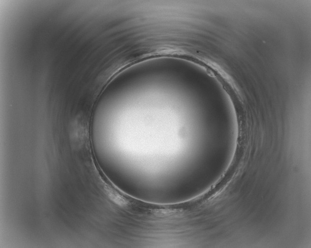 X0000075831281200609151229