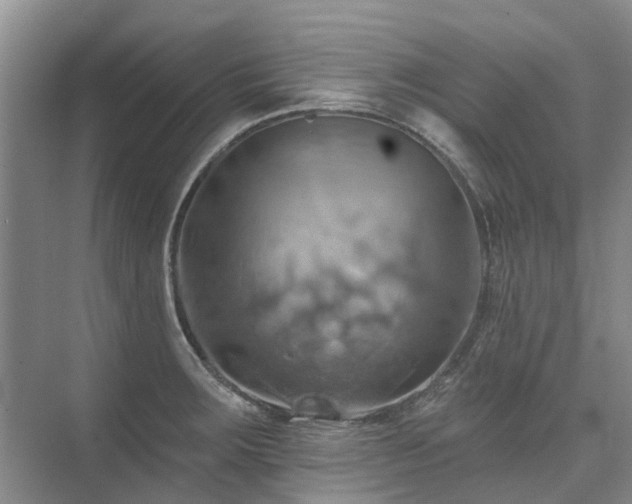 X0000075831283200609151229