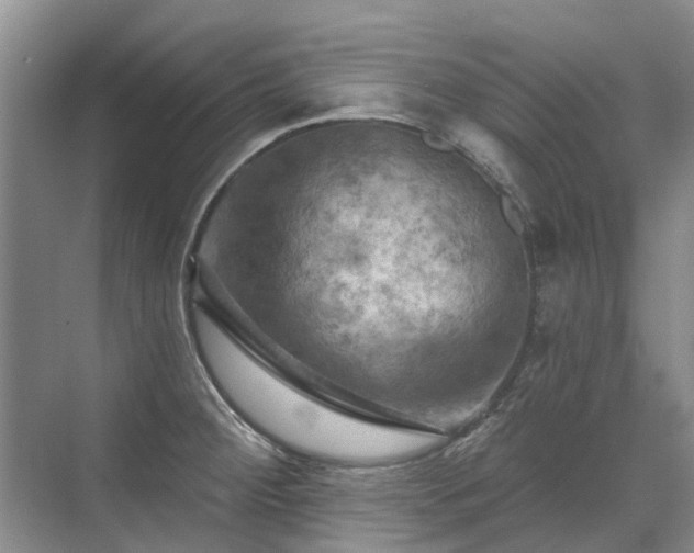 X0000075831284200609151229