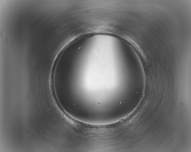 X0000075831285200609151229