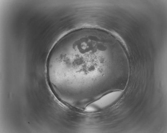 X0000075831287200609151229