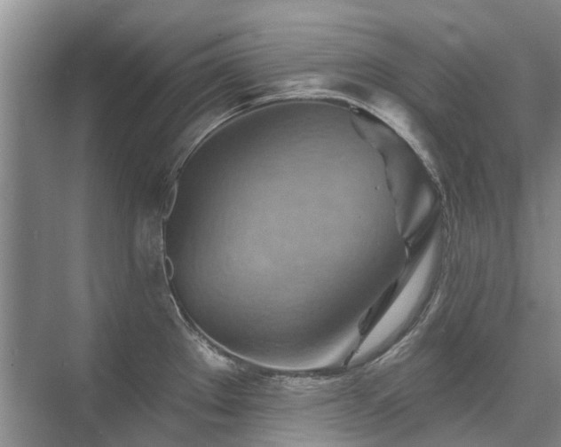 X0000075831289200609151229