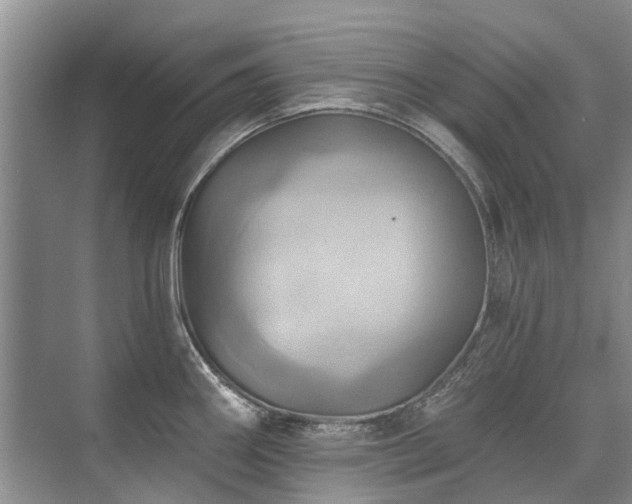 X0000075831290200609151229