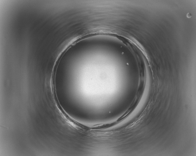 X0000075831293200609151229