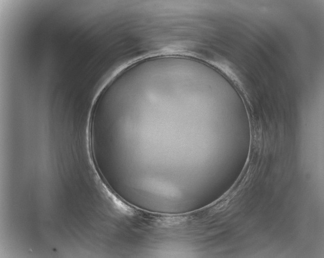 X0000075831294200609151229