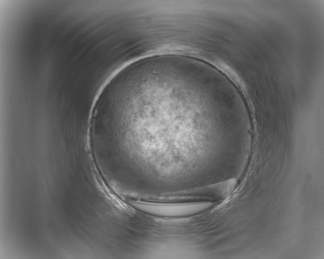 X0000075831296200609151228