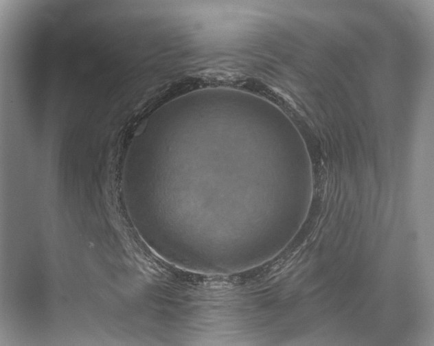 X0000075831297200609151228