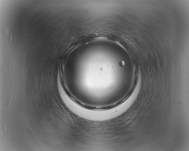 X0000075831298200609151228