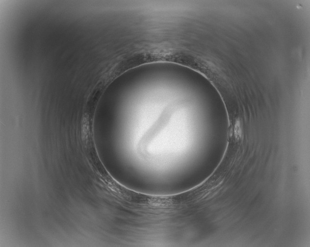 X0000075831299200609151228