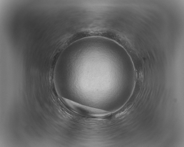 X0000075831300200609151228