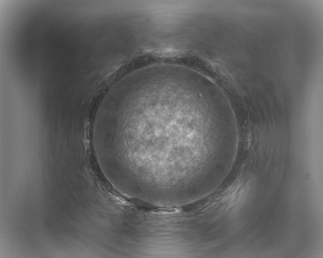 X0000075831301200609151228