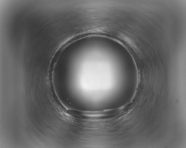 X0000075831308200609151228