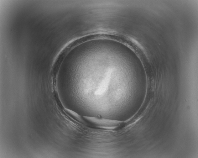 X0000075831310200609151228