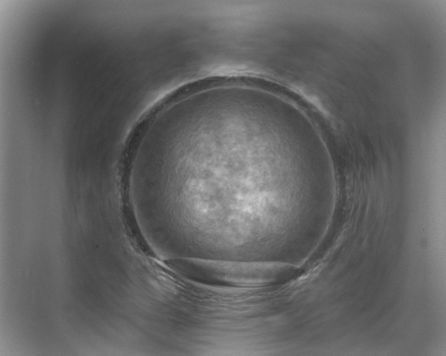 X0000075831311200609151228