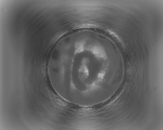 X0000075831313200609151228