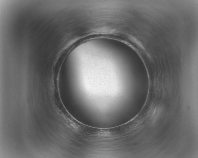 X0000075831315200609151228