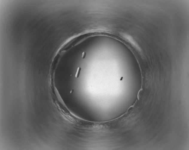 X0000075831316200609151228