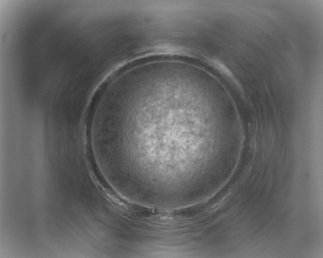 X0000075831318200609151228