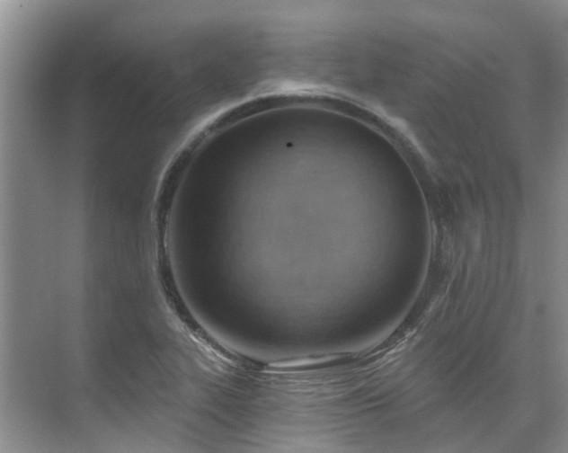 X0000075831319200609151228