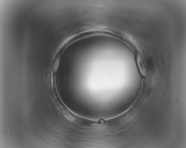 X0000075831320200609151228