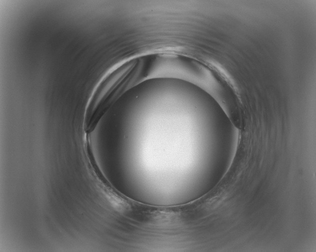 X0000075831324200609151228