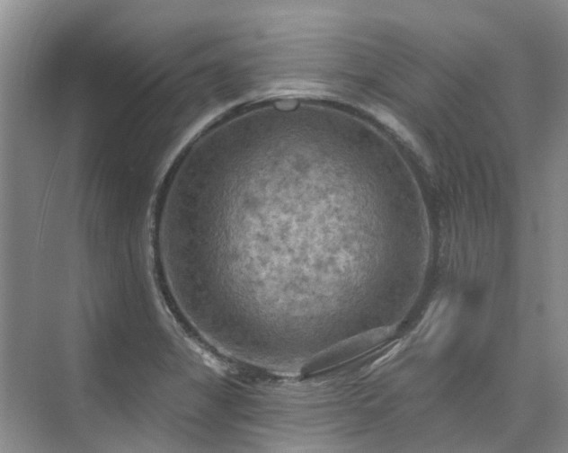 X0000075831325200609151228