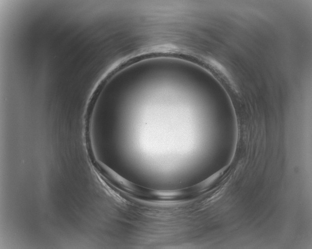 X0000075831326200609151228