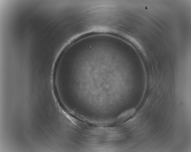 X0000075831327200609151228