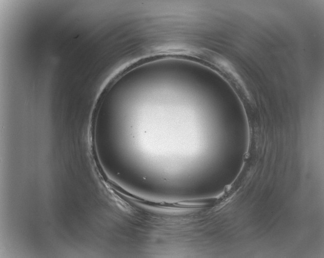 X0000075831328200609151228