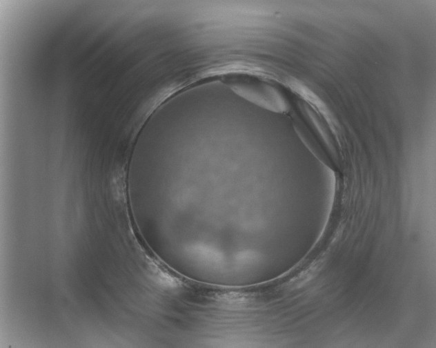 X0000075831329200609151228