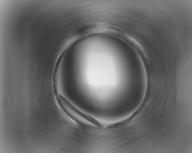 X0000075831330200609151228