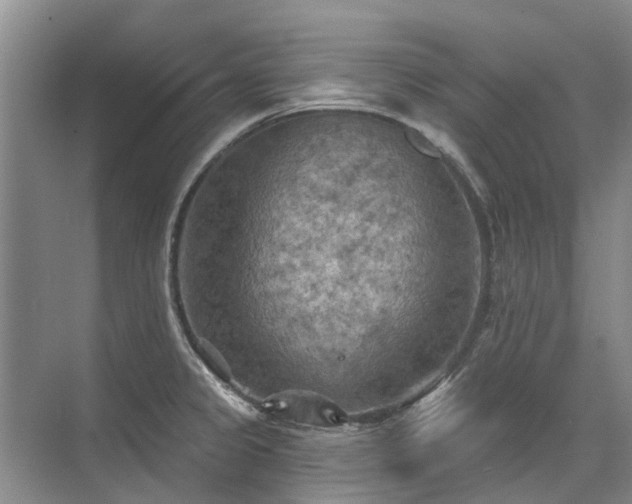 X0000075831333200609151228