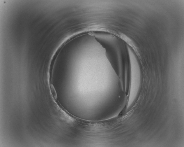 X0000075831334200609151228