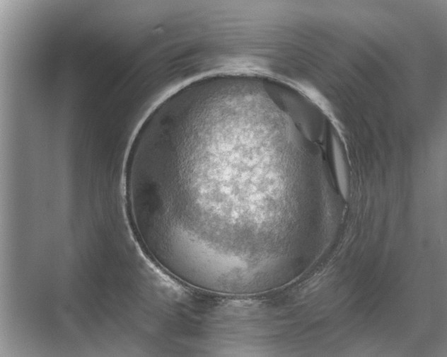 X0000075831335200609151228