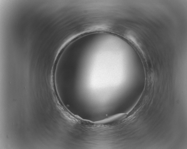 X0000075831336200609151228